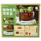 Plant Growth Domestic